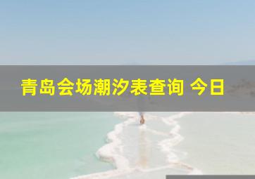 青岛会场潮汐表查询 今日